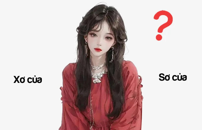 Xơ cua hay Sơ cua đâu là từ viết đúng chính tả?