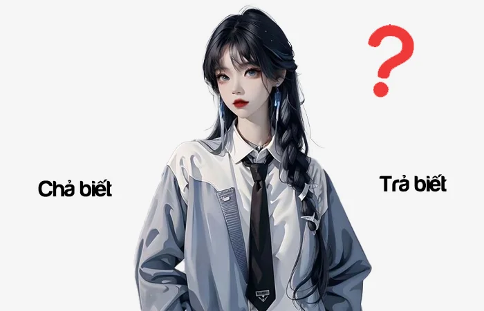 Chả biết hay Trả biết đâu là từ viết đúng chính tả?