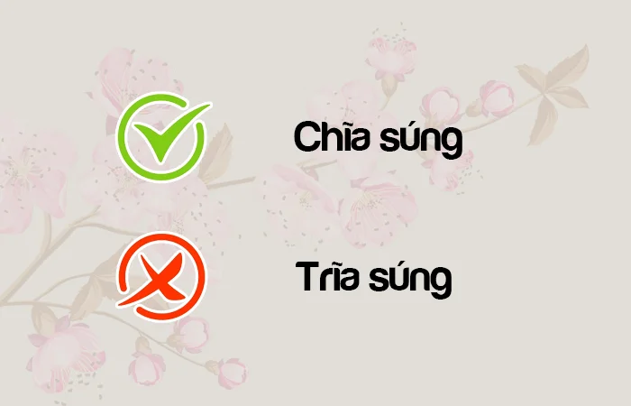 Chĩa súng hay Trĩa súng từ nào viết đúng chính tả