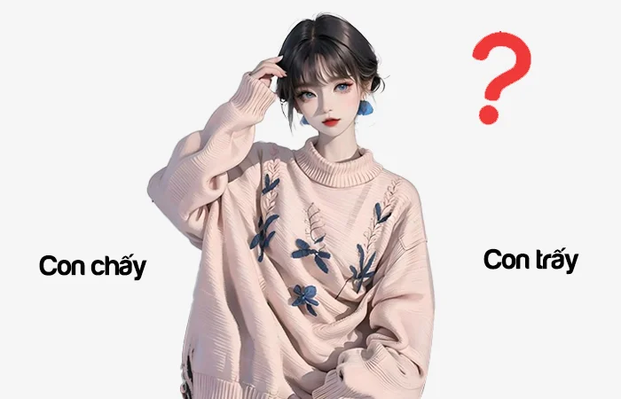 Con chấy hay Con trấy từ nào viết đúng chính tả?