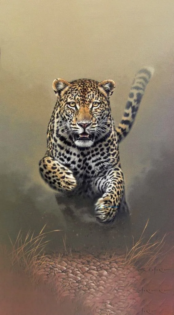 hình nền con báo cho điện thoại