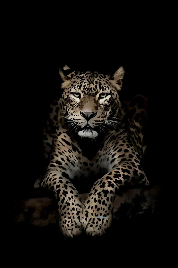 hình nền con báo cho điện thoại