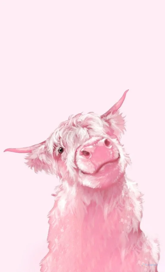 Hình nền con Bò cho điện thoại