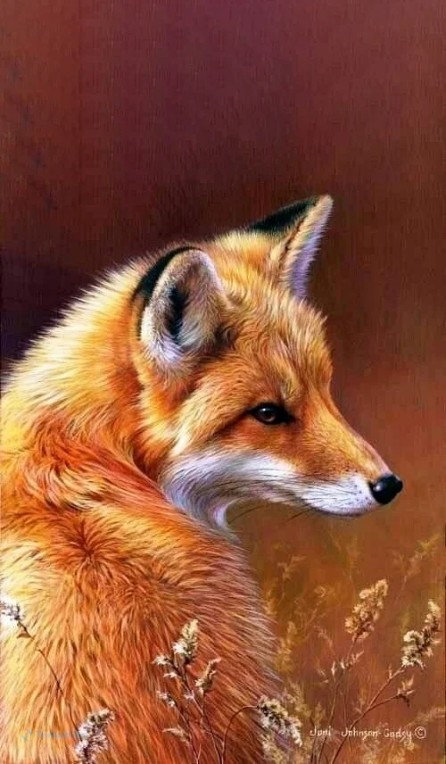 Hình nền con Cáo cho điện thoại