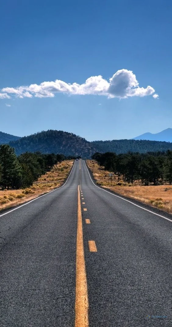 Hình nền con đường cho điện thoại