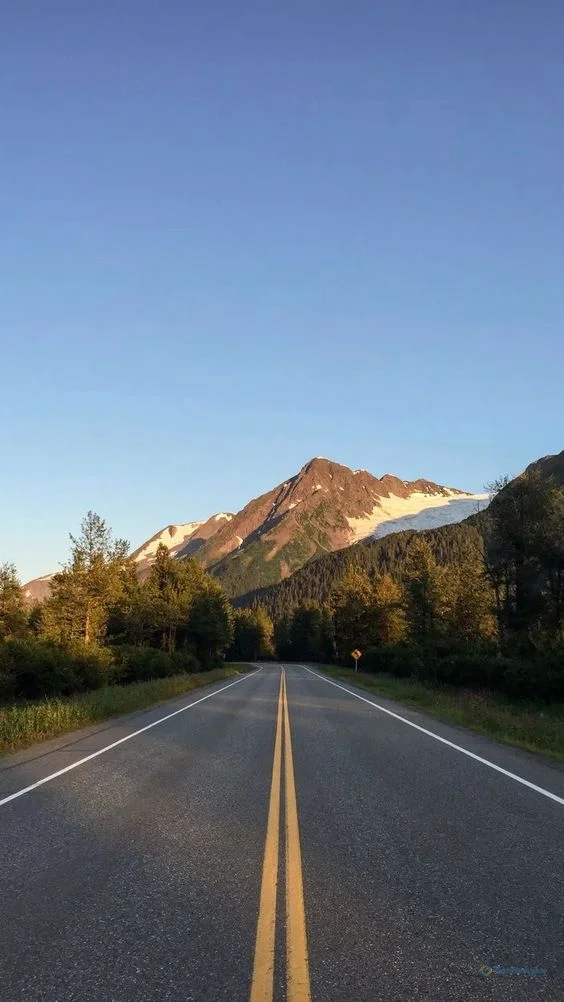 Hình nền con đường cho điện thoại