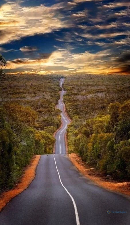 Hình nền con đường cho điện thoại