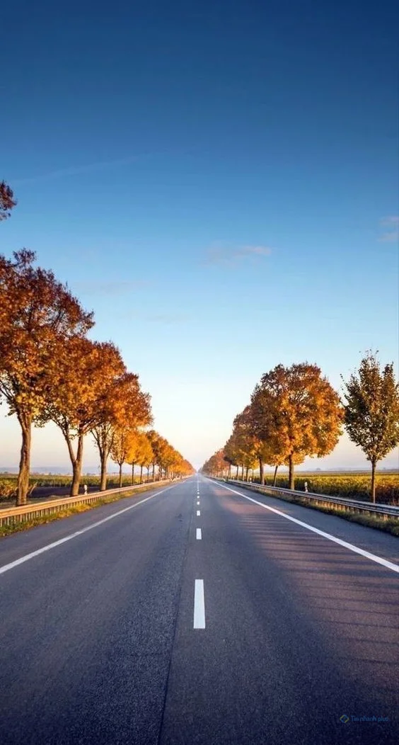 Hình nền con đường cho điện thoại