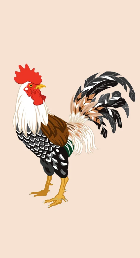 Hình nền con Gà 3d cho điện thoại