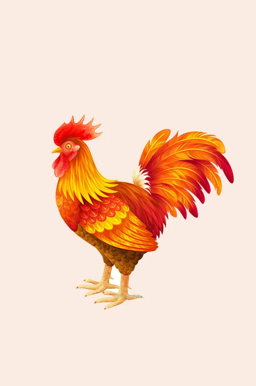 Hình nền con Gà 3d cho điện thoại