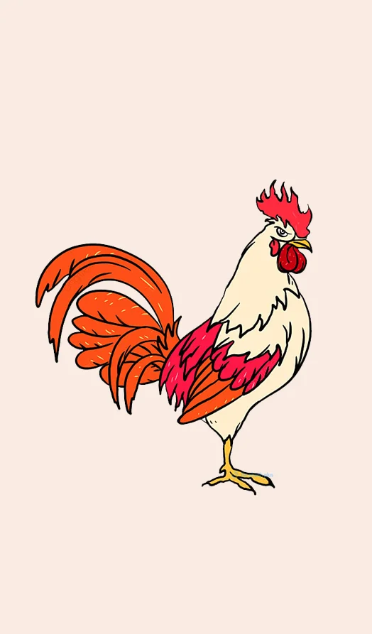 Hình nền con Gà 3d cho điện thoại