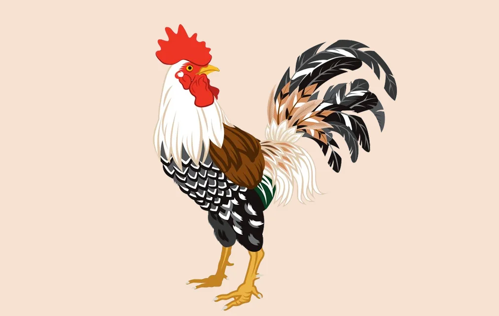 200+ Hình nền con Gà, con Gà 3D cho điện thoại