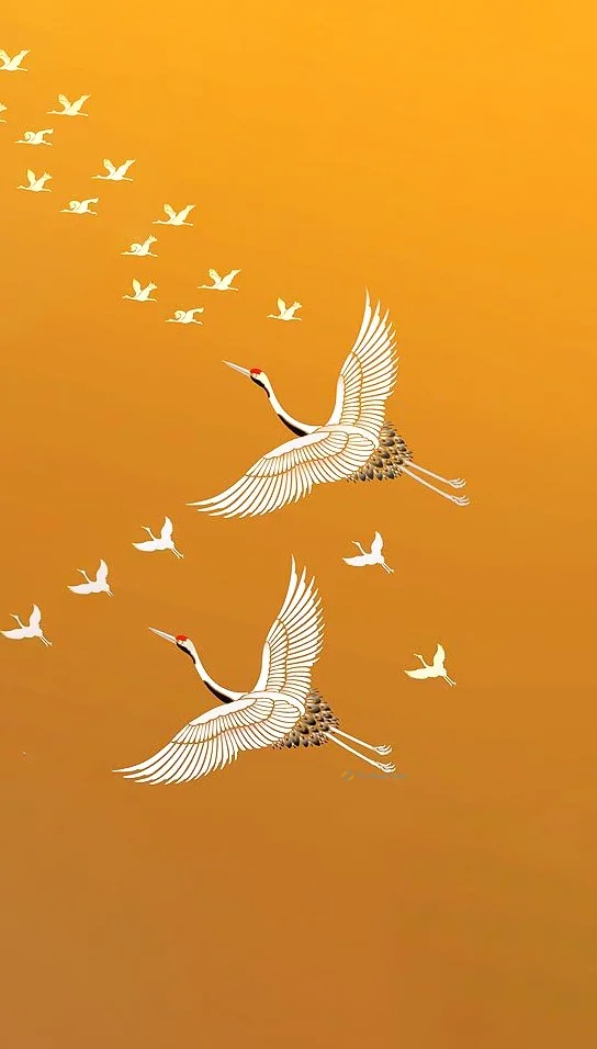 Hình nền con hạc cho điện thoại