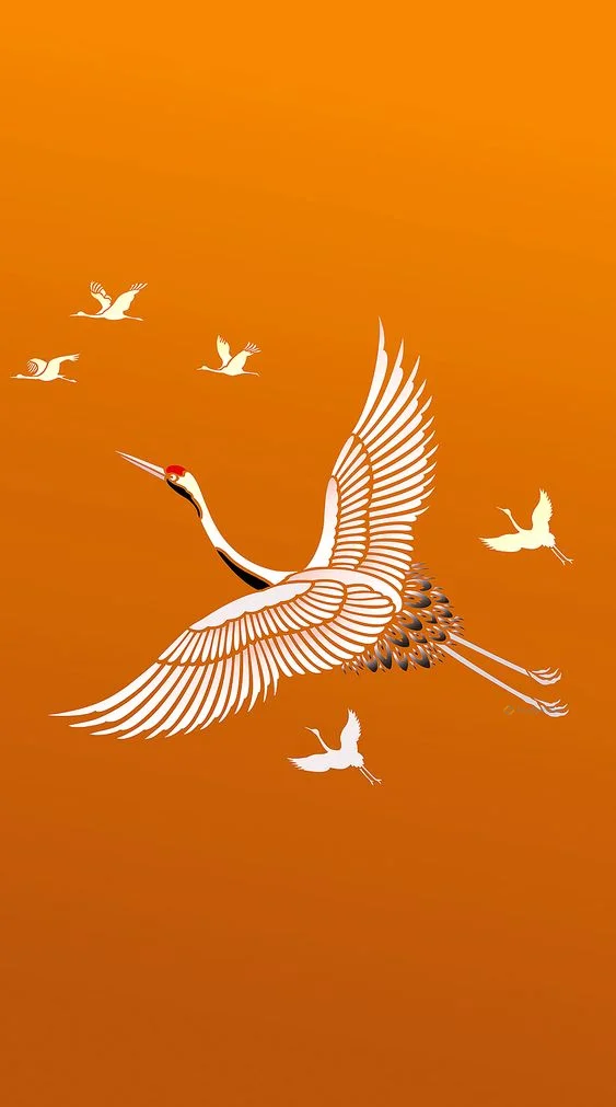 Hình nền con hạc cho điện thoại