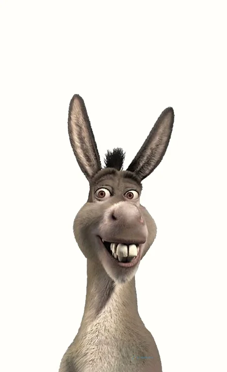 Hình nền con Lừa cười cho điện thoại