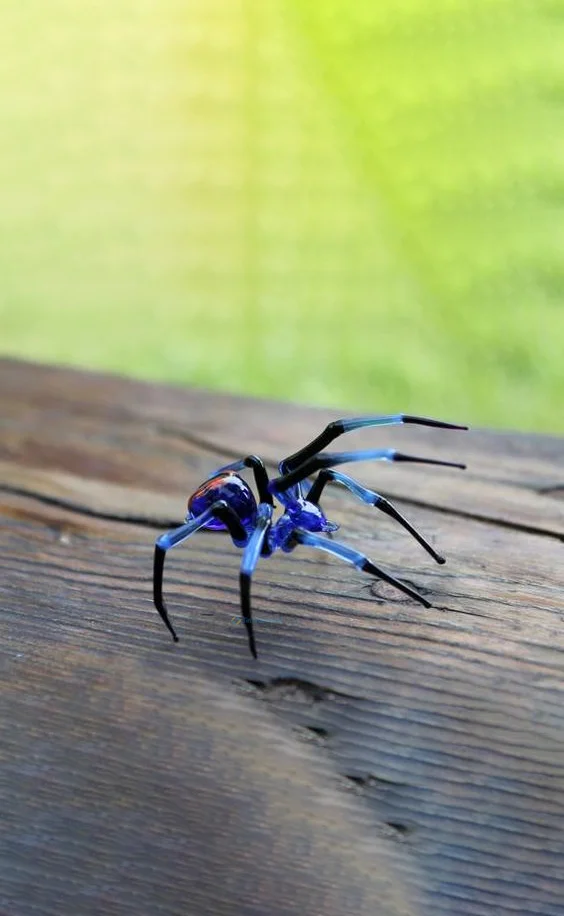 Hình nền con Nhên cho điện thoại