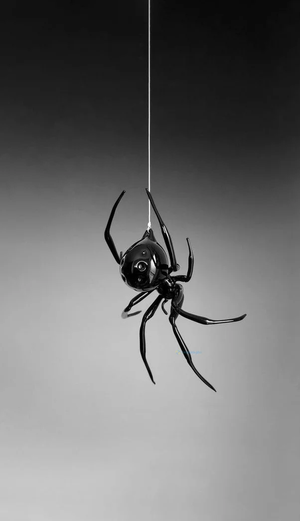 Hình nền con Nhên cho điện thoại