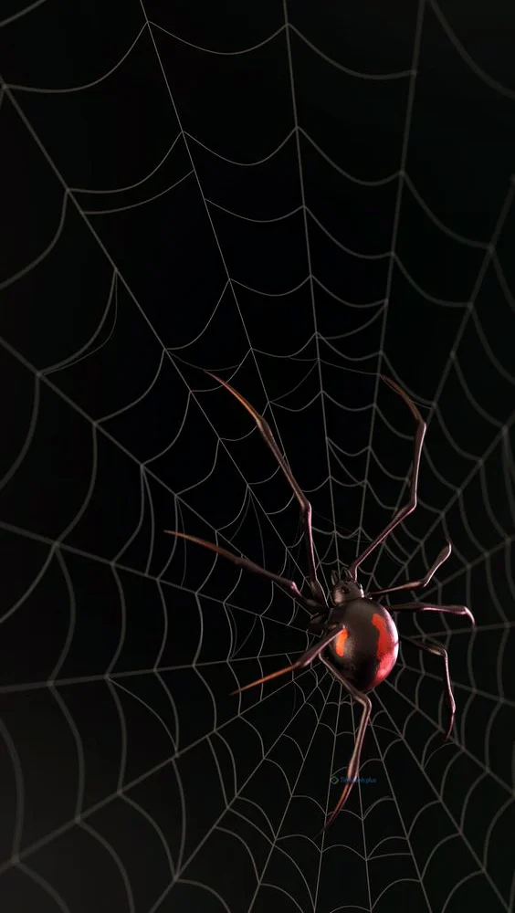 Hình nền con Nhên cho điện thoại