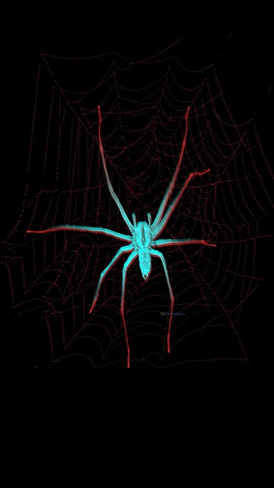 Hình nền con Nhên cho điện thoại