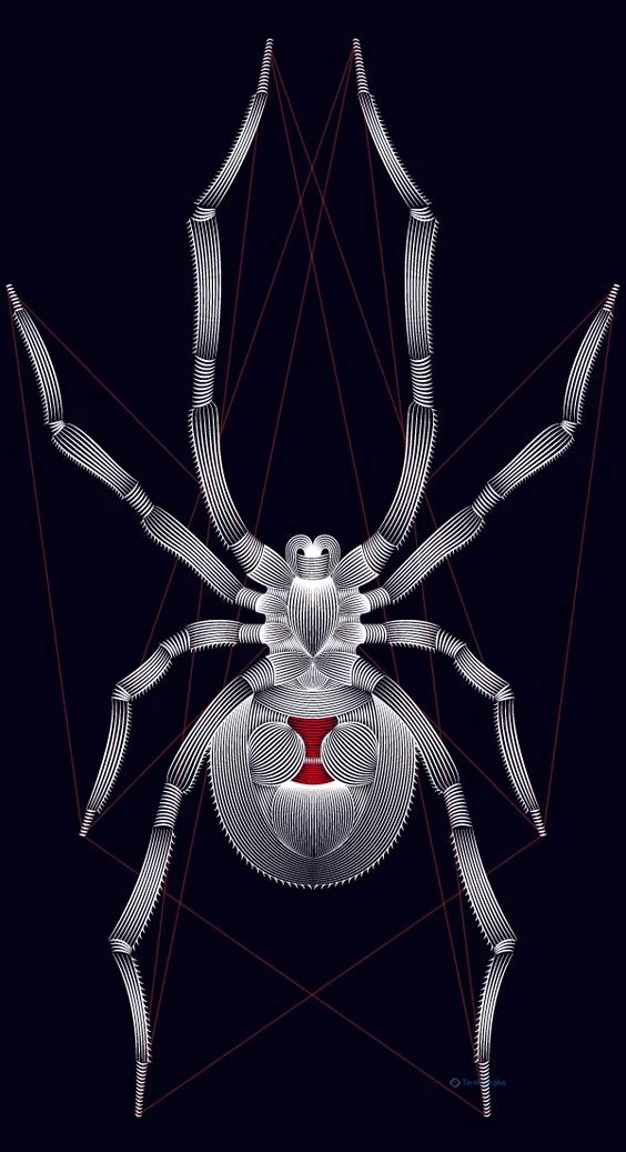 Hình nền con Nhên cho điện thoại