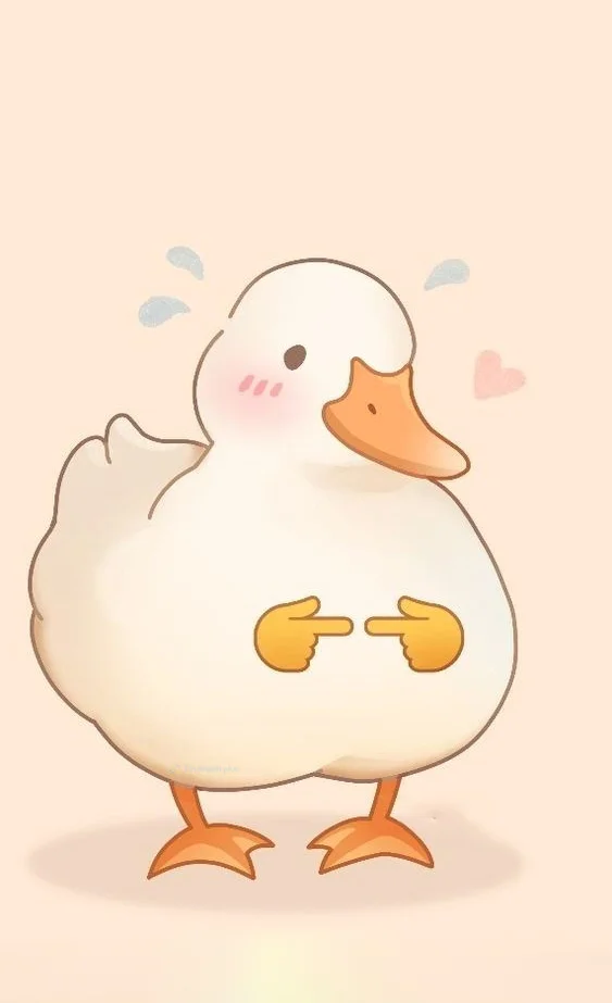 Hình nền con Vịt cute cho điện thoại
