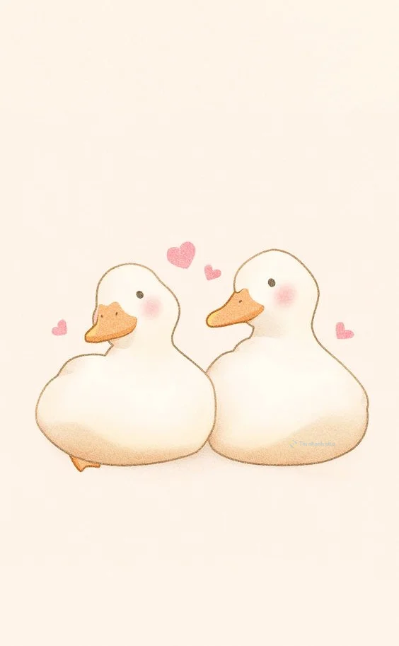 Hình nền con Vịt cute cho điện thoại