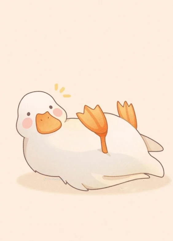 Hình nền con Vịt cute cho điện thoại