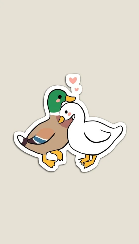 Hình nền con Vịt cute cho điện thoại