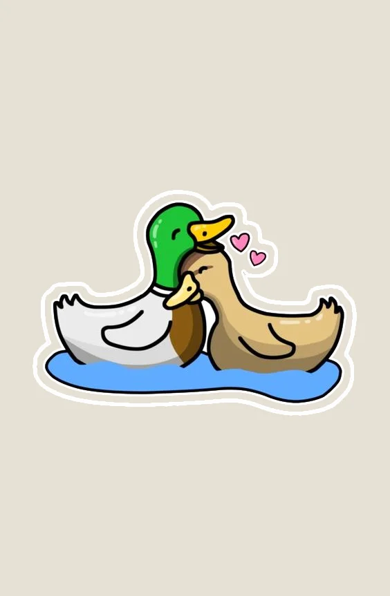 Hình nền con Vịt cute cho điện thoại