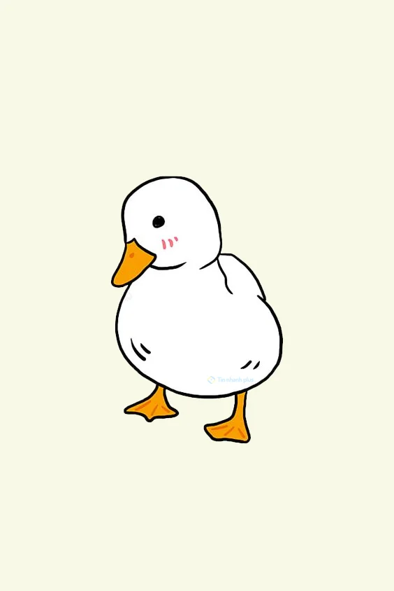 Hình nền con Vịt trắng cho điện thoại