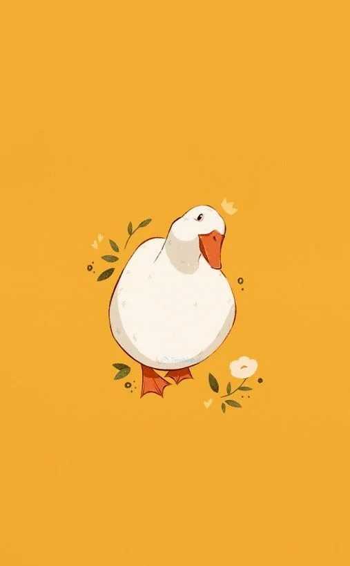 Hình nền con Vịt trắng cho điện thoại