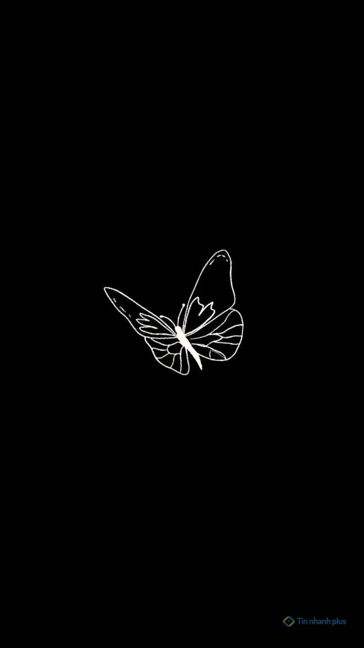 Hình nền điện thoại con bướm đen