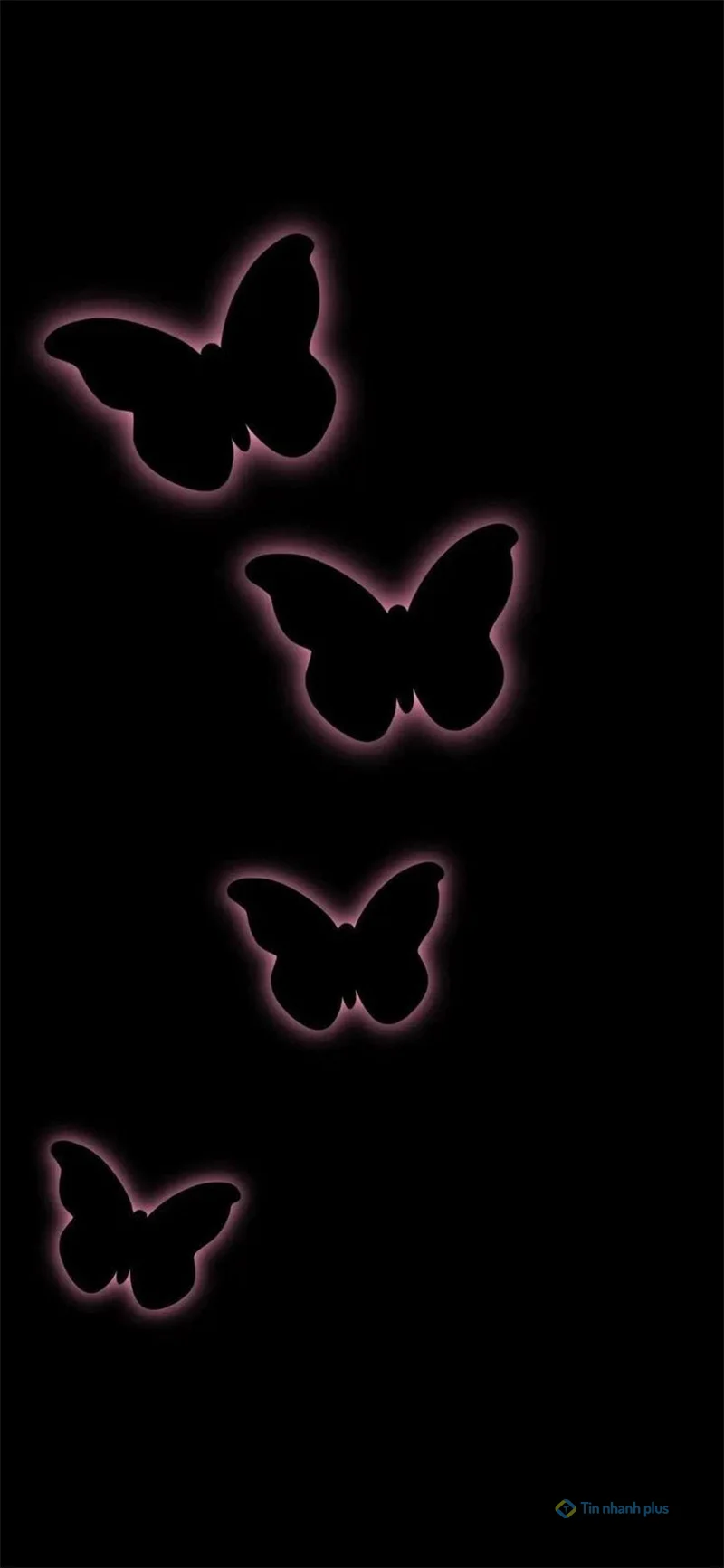 Hình nền điện thoại con bướm đen