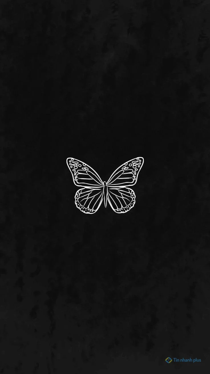 Hình nền điện thoại con bướm đen