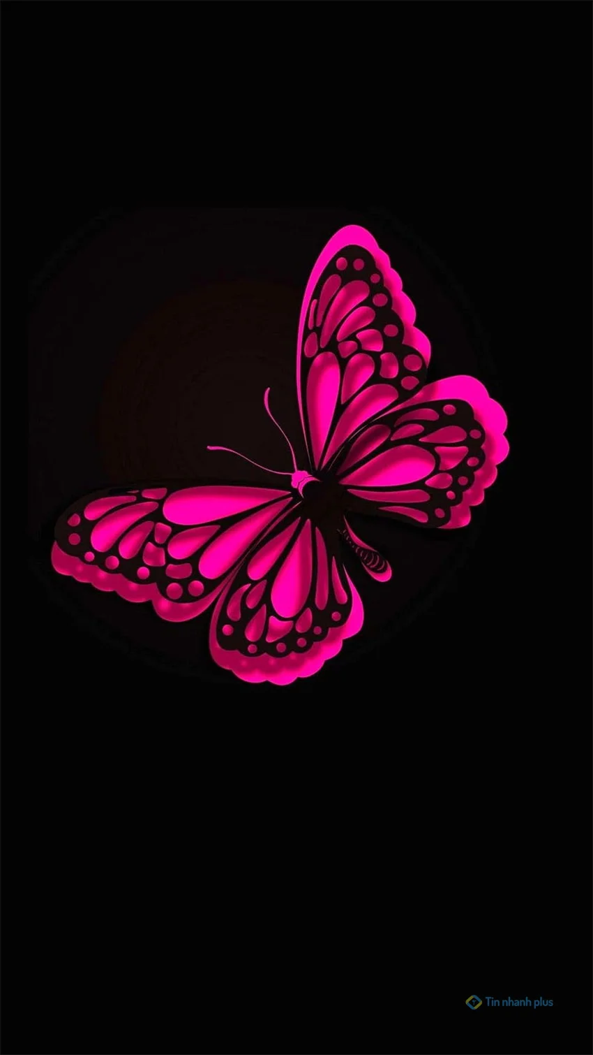 Hình nền điện thoại con bướm hồng