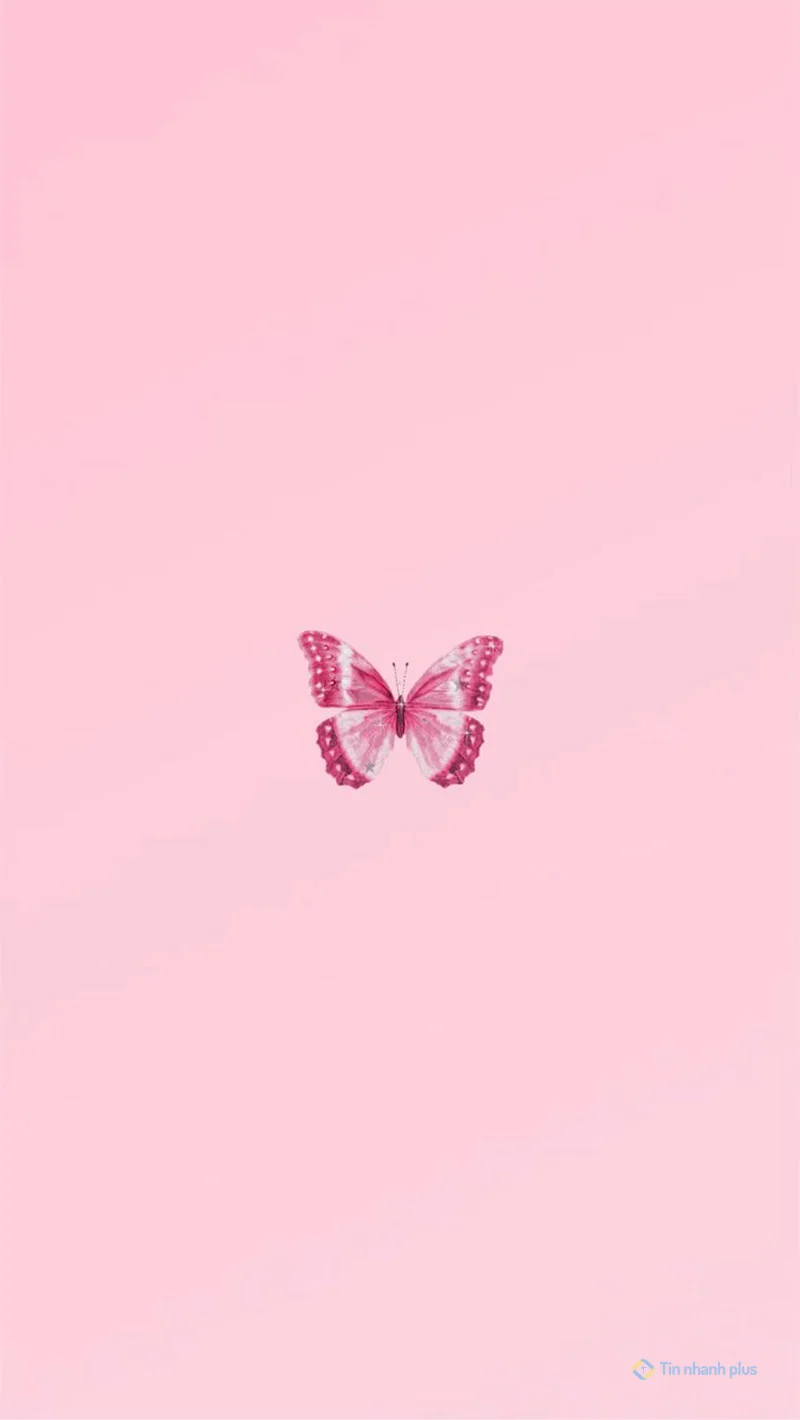 Hình nền điện thoại con bướm hồng