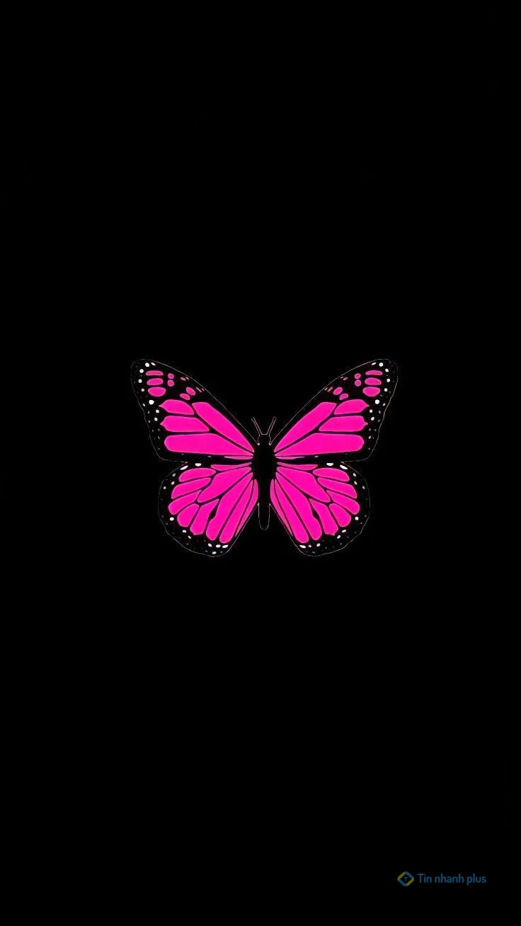 Hình nền điện thoại con bướm hồng
