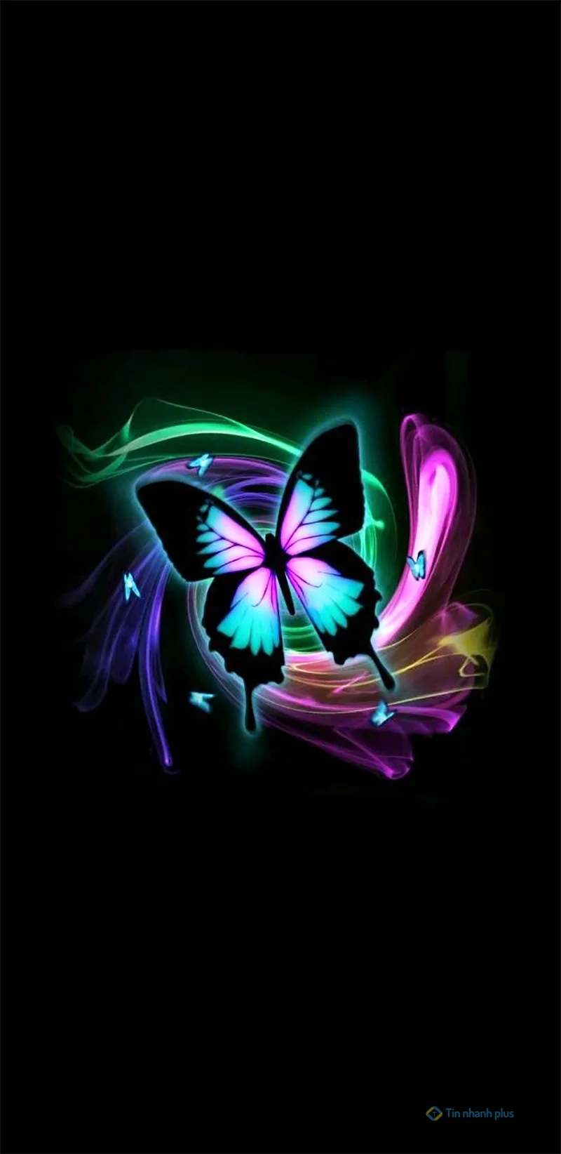 Hình nền điện thoại con bướm hồng