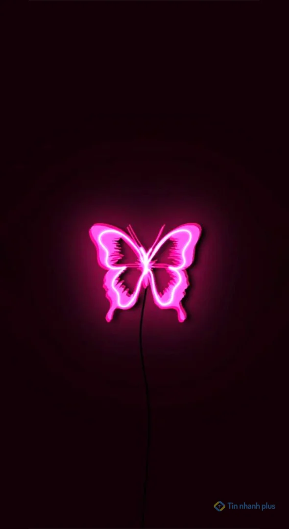 Hình nền điện thoại con bướm hồng