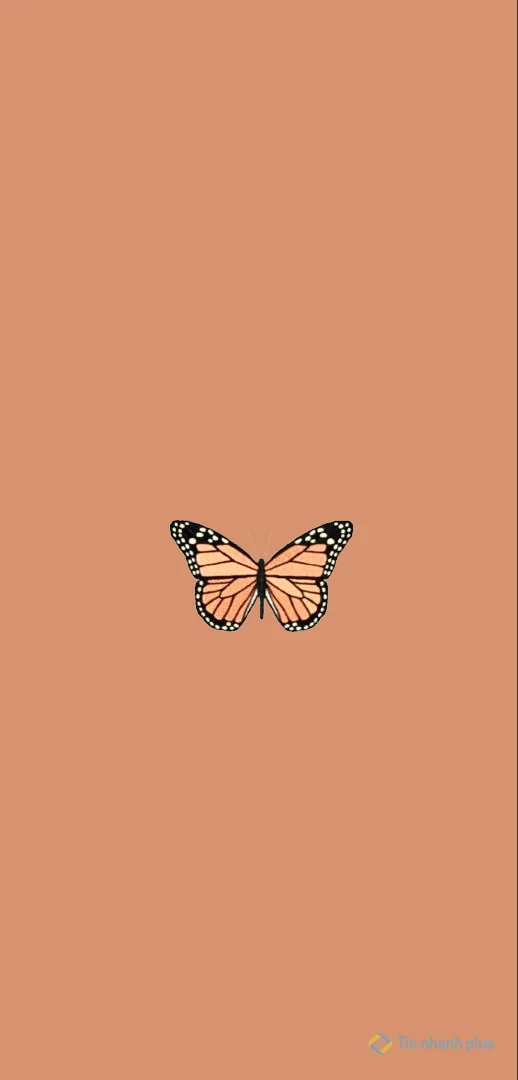 Hình nền điện thoại con bướm vàng