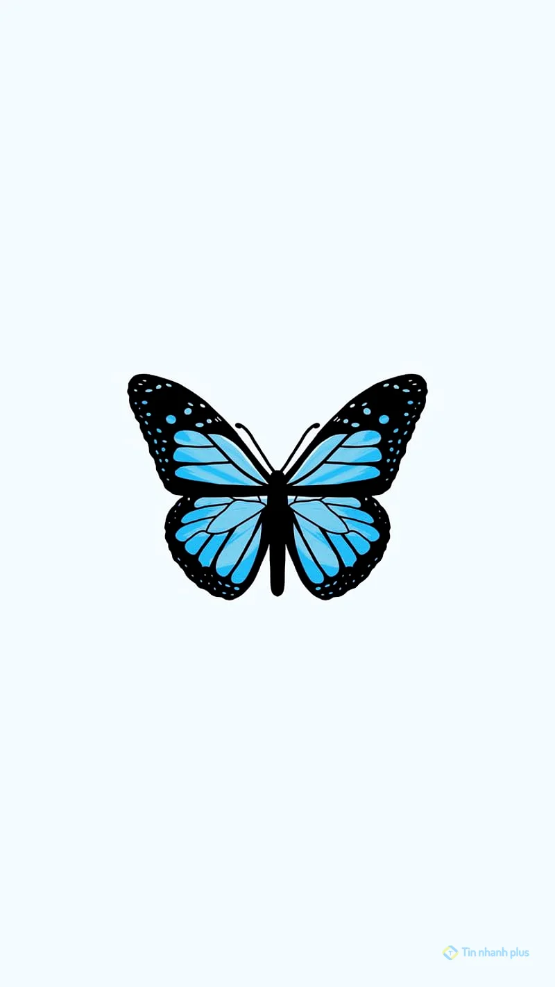 Hình nền điện thoại con bướm xanh