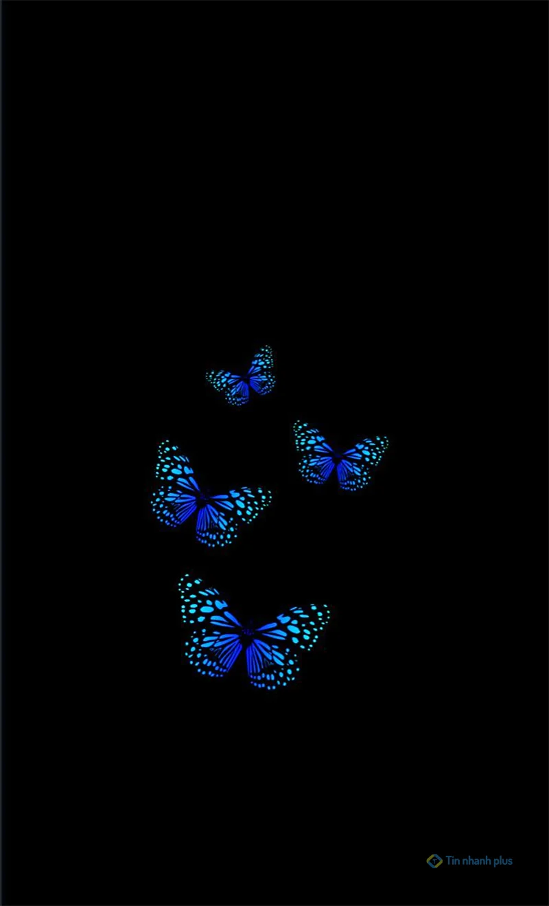 Hình nền điện thoại con bướm xanh
