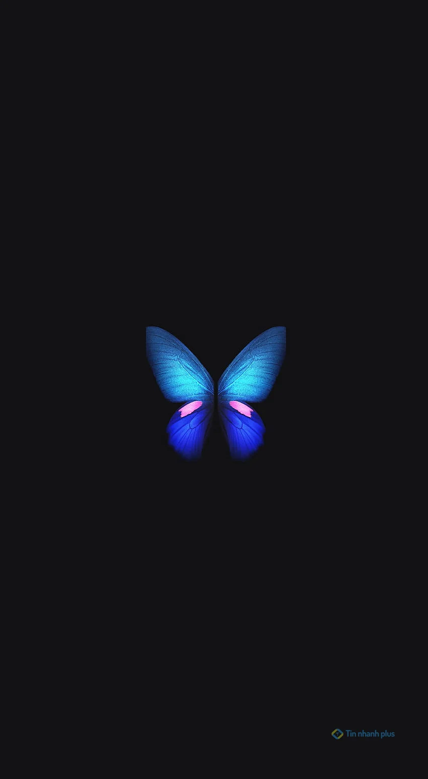 Hình nền điện thoại con bướm xanh