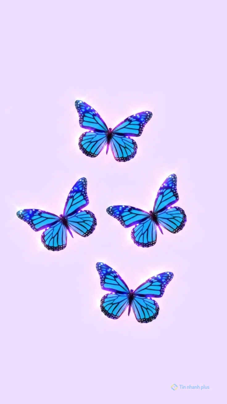 Hình nền điện thoại con bướm xanh