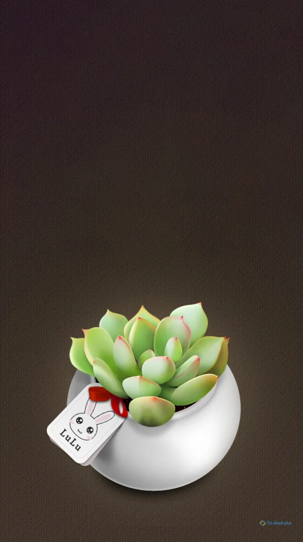 Hình nền sen đá dành cho điện thoại