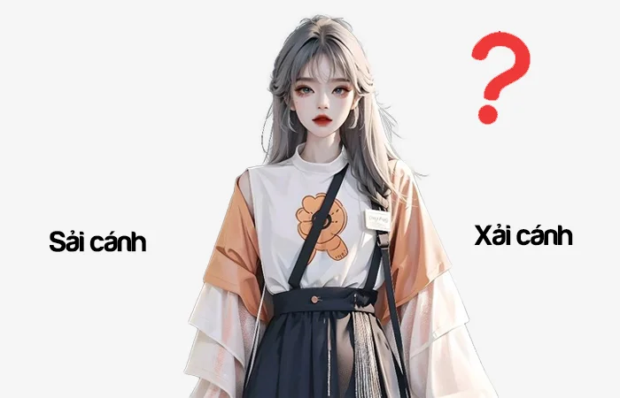 Sải cánh hay Xải cánh đâu là từ viết đúng chính tả?