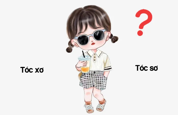 Tóc xơ hay Tóc sơ từ nào viết đúng chính tả?
