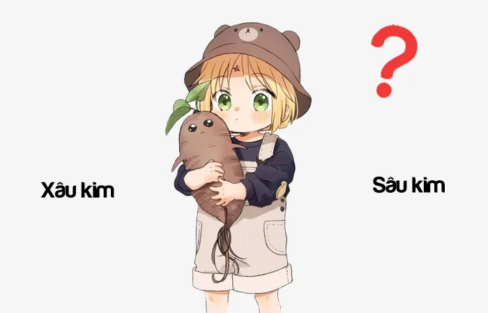 Xâu kim hay Sâu kim đâu là từ viết đúng chính tả?