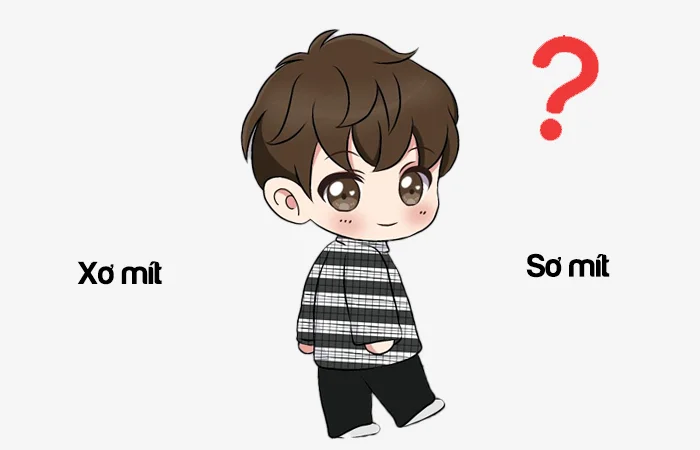 Xơ mít hay Sơ mít từ nào viết đúng chính tả?