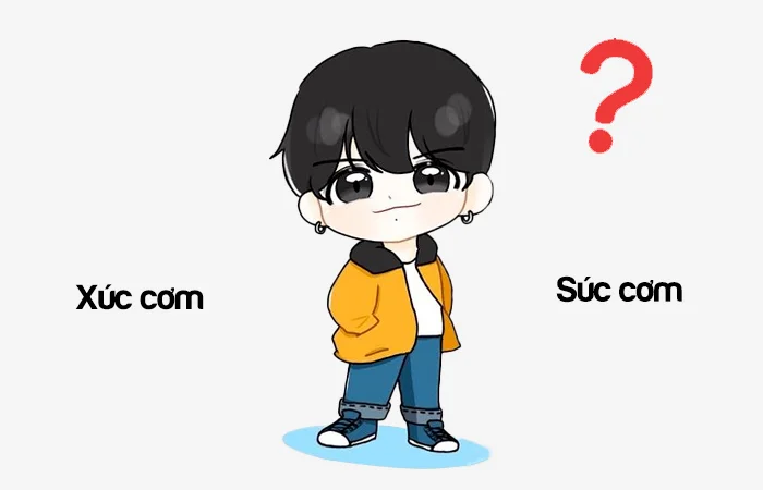 Xúc cơm hay Súc cơm từ nào viết đúng chính tả?